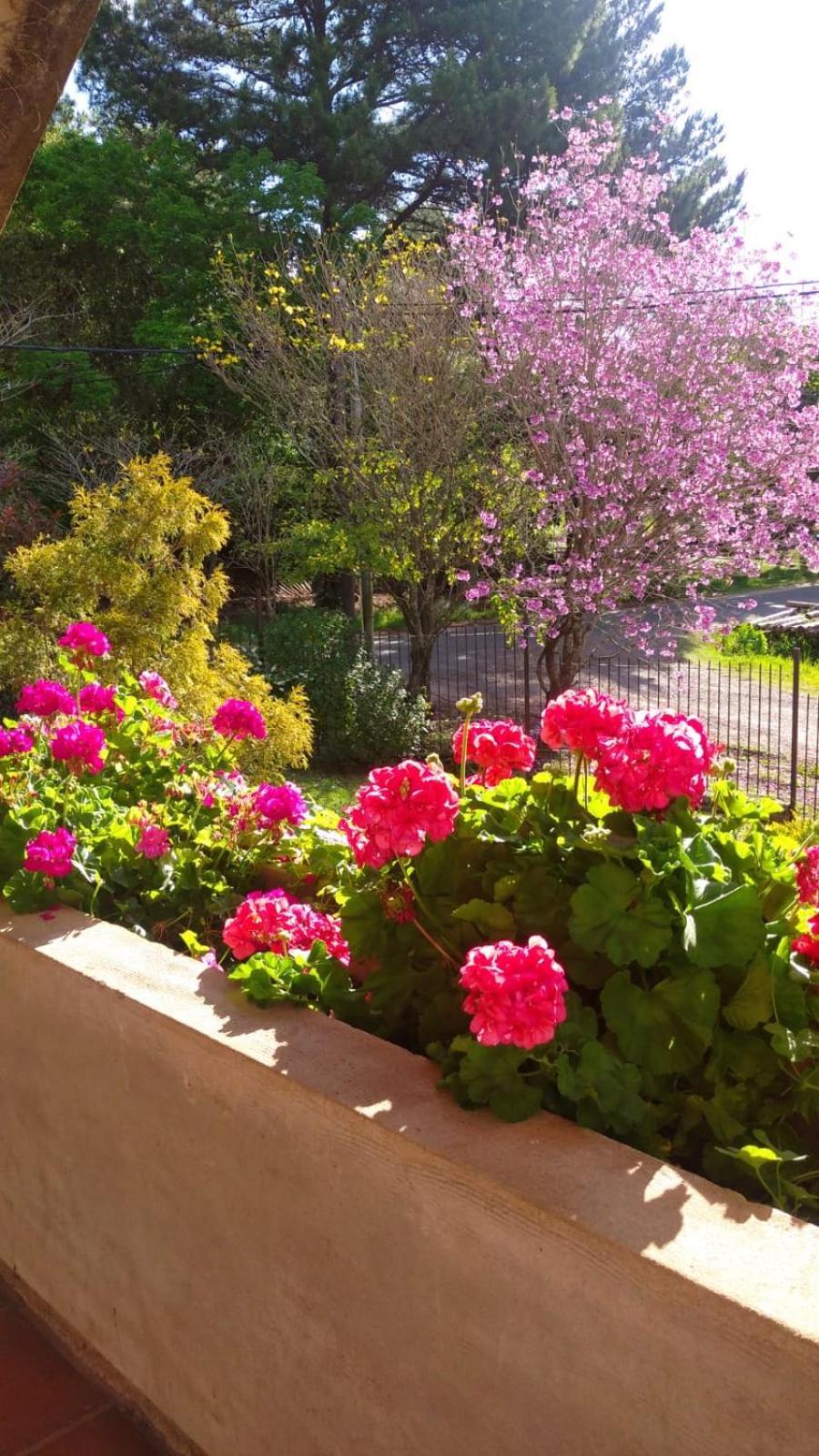 Balneario Ipora La Casona Del Lago מראה חיצוני תמונה